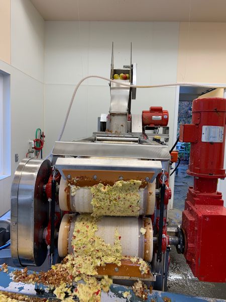 apples coming through the cider press