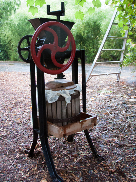 Small hand crank apple press